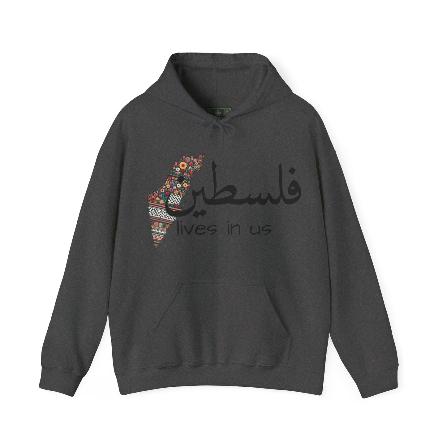 "Palestine Lives in Us" & Plain back Hoodie – Cultural Pride & Solidarity in 8 Colors